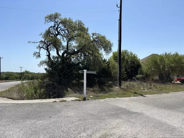 LOT 371 Nicholas Weeks, Blanco, TX 78606