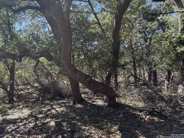 LOT 85 Headwaters Ranch Road, Kendalia, TX 78027