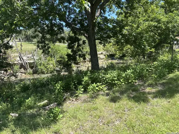 LOT 103 Majestic Hills Drive, Blanco, TX 78606