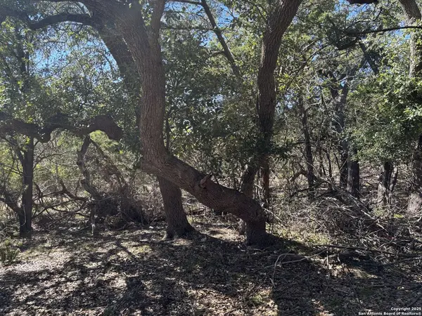 LOT 85 & 86 Headwaters Ranch Road, Kendalia, TX 78027