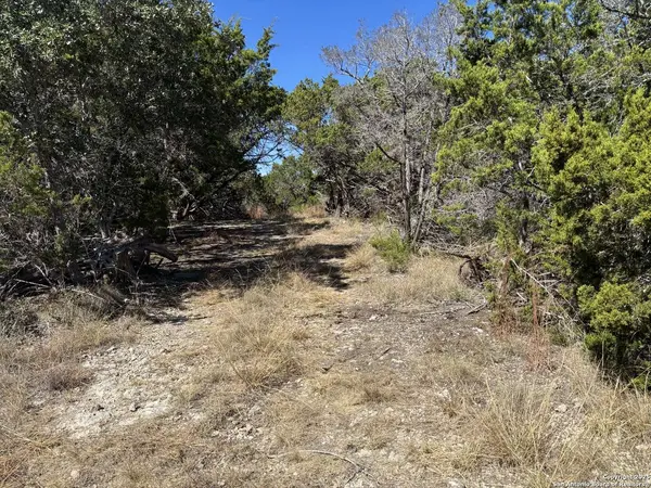 LOT 85 & 86 Headwaters Ranch Road, Kendalia, TX 78027