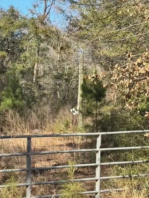 TBD Lee Turner Road, Cleveland, TX 77328