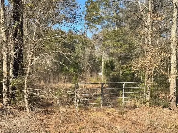 TBD Lee Turner Road, Cleveland, TX 77328