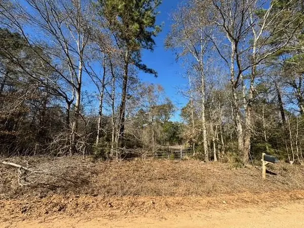 TBD Lee Turner Road, Cleveland, TX 77328