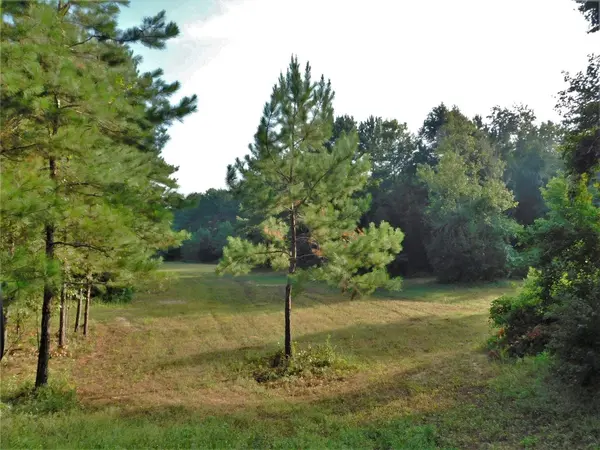 11914 Browder Traylor RD, Conroe, TX 77303