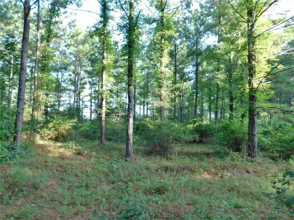 11914 Browder Traylor RD, Conroe, TX 77303
