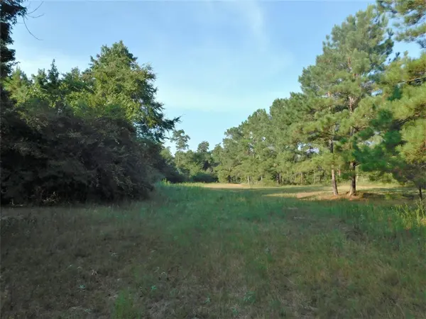 11914 Browder Traylor RD, Conroe, TX 77303