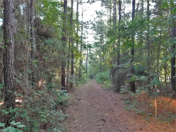11914 Browder Traylor RD, Conroe, TX 77303