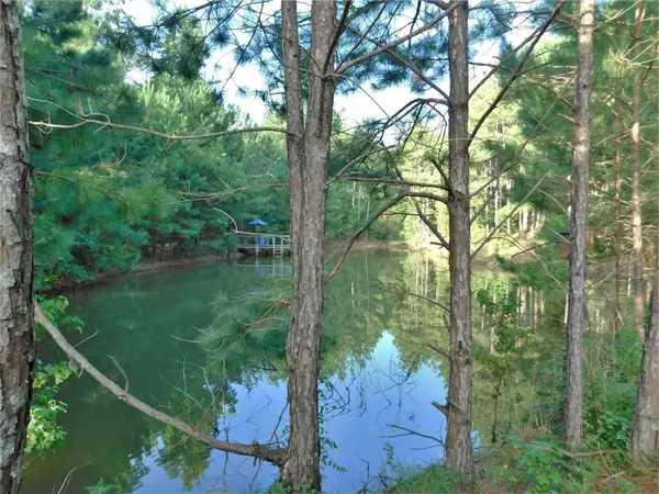 11914 Browder Traylor RD, Conroe, TX 77303
