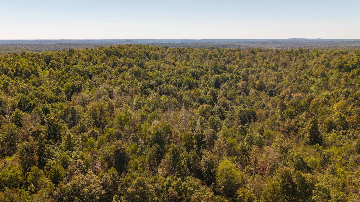 Land For Sale in the Ozarks6