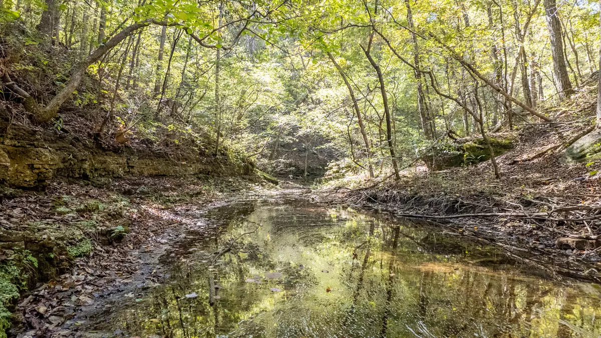 Hunting Land in the Ozarks10
