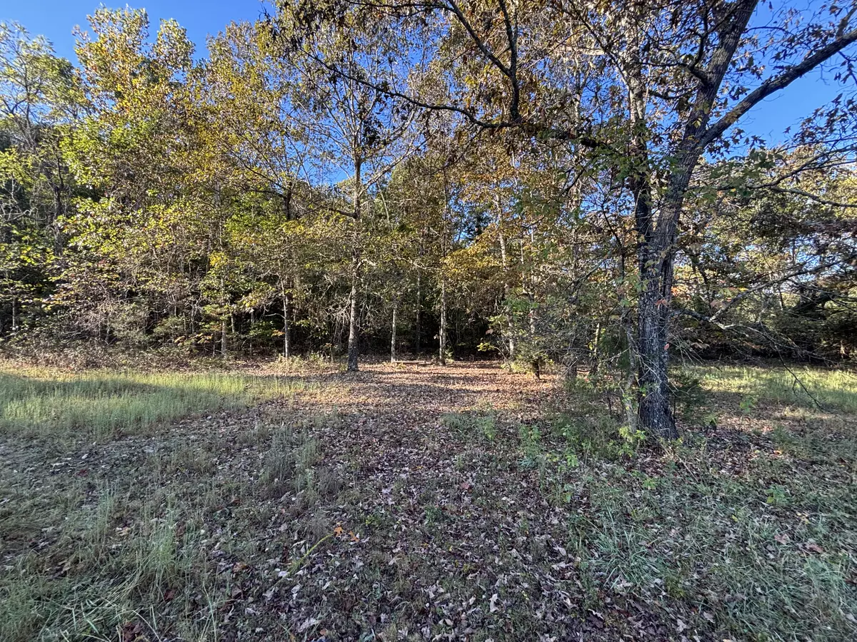 Land For Sale in the Ozarks 2