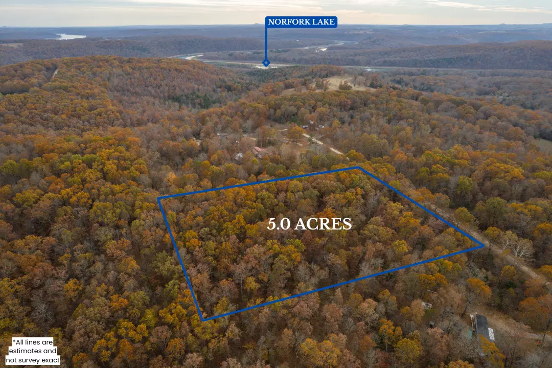 Vacant Land in the Ozarks 0