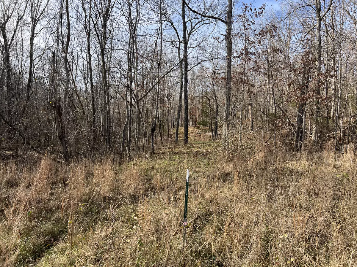 Wooded Acreage in Thayer Missouri2