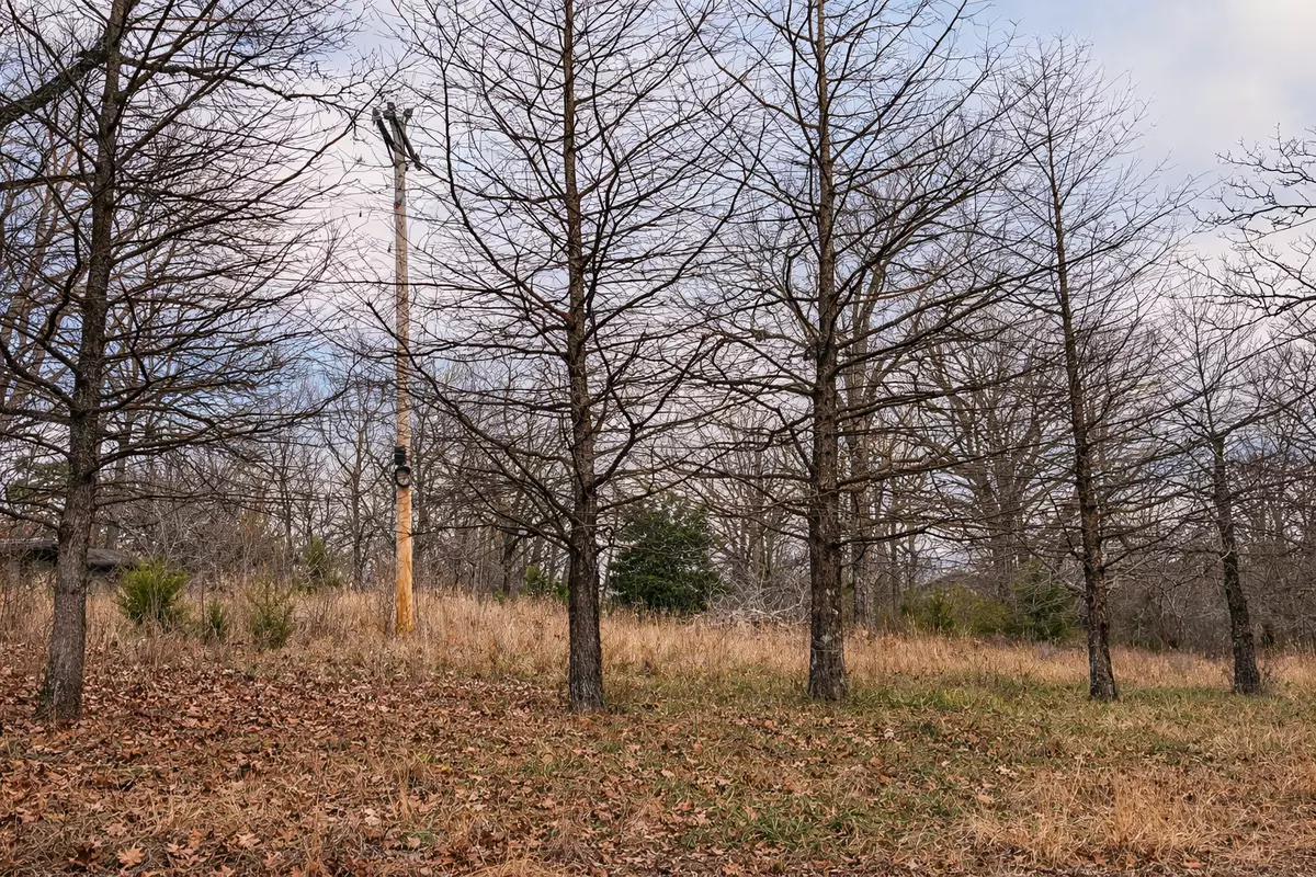 Corner Lot for Sale in Williford AR 0