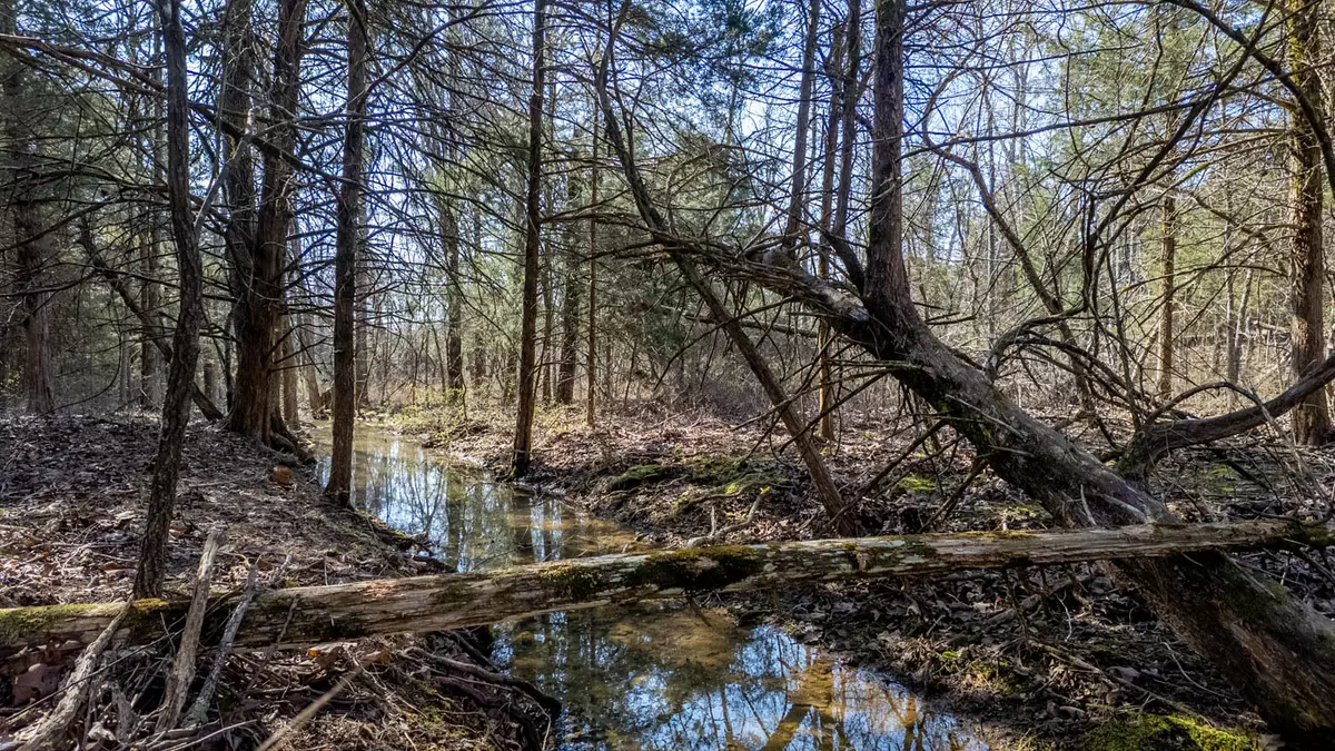 Acreage for Sale Howell County8