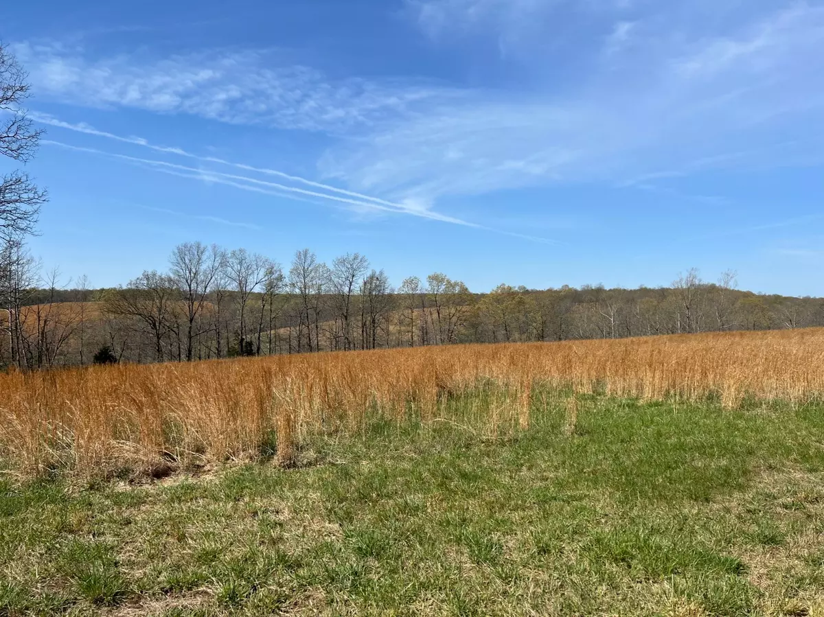 Acreage for sale in the Ozarks2