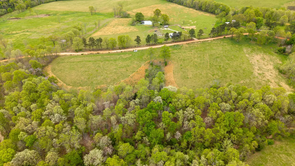 vacant land with creek in the ozarks001