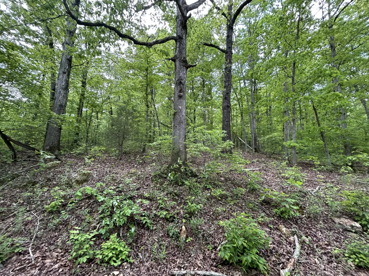 Vacant land for sale Hardy4