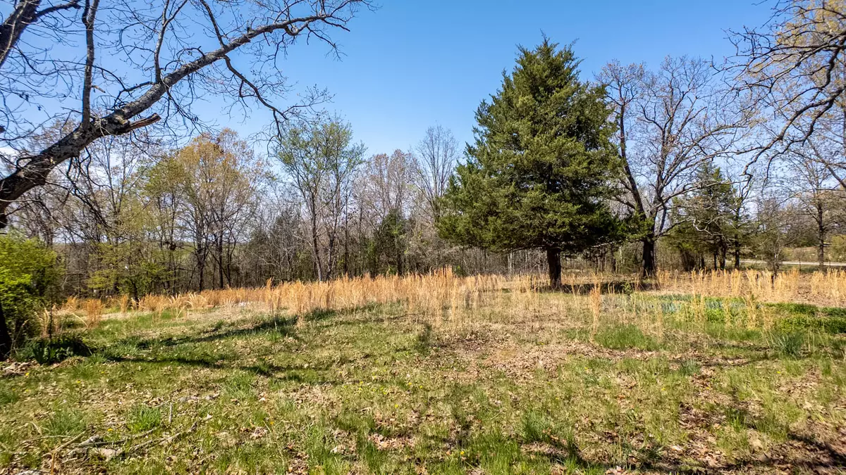 Vacant Wooded Acreage004