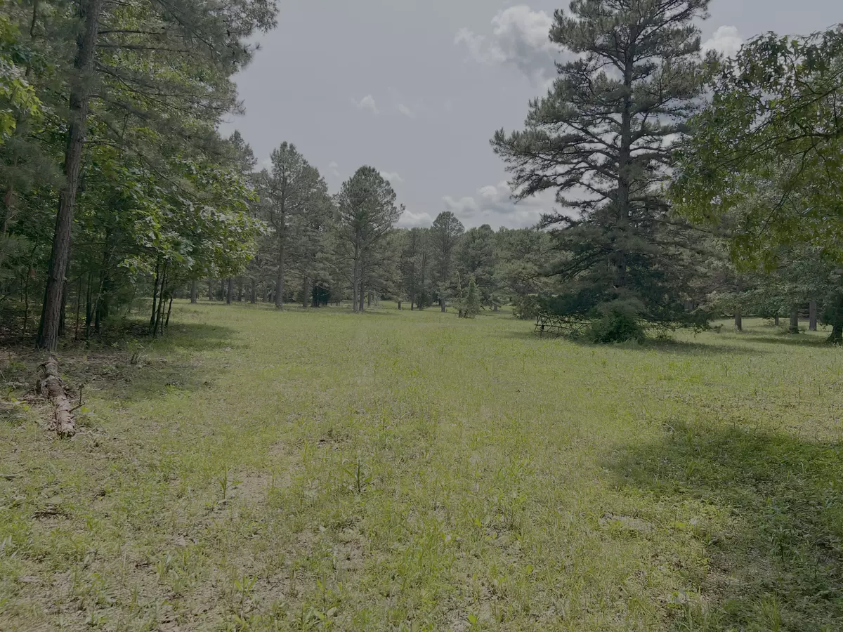 Land for sale in Oregon County 0