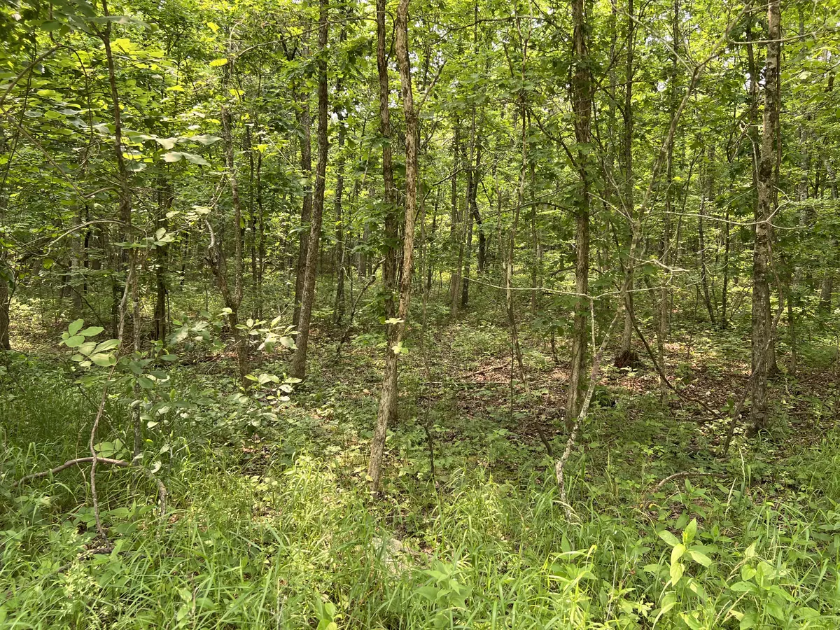 1Wooded Land in the Missouri Ozarks5