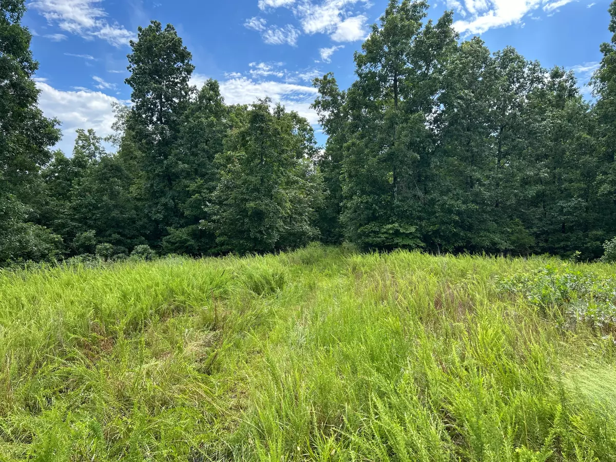 Vacant Land in the Ozarks3 2
