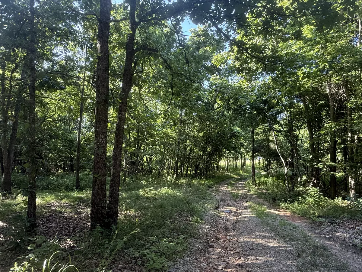 Acreage in the Remote Ozarks 1