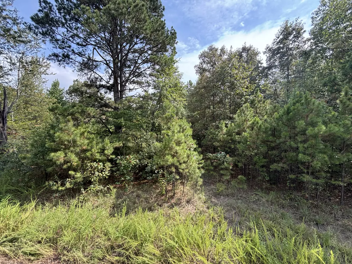 Land in Hattieville 29