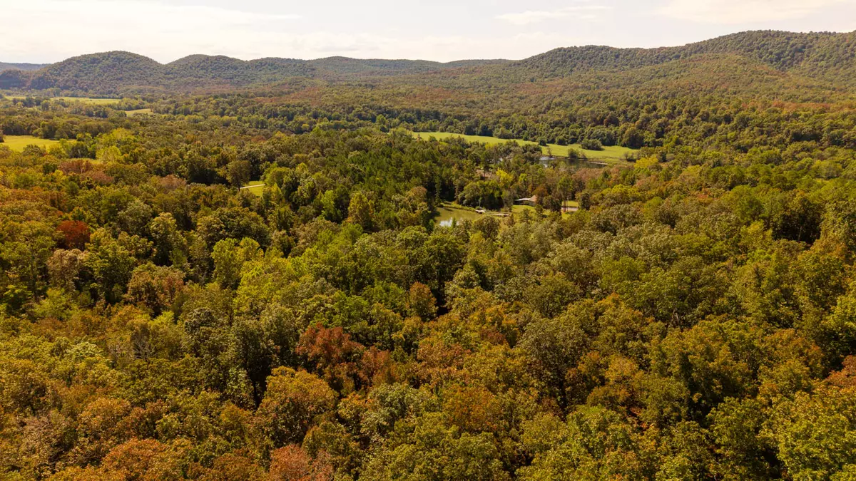 Land with Creek in Baxter County Arkansas7