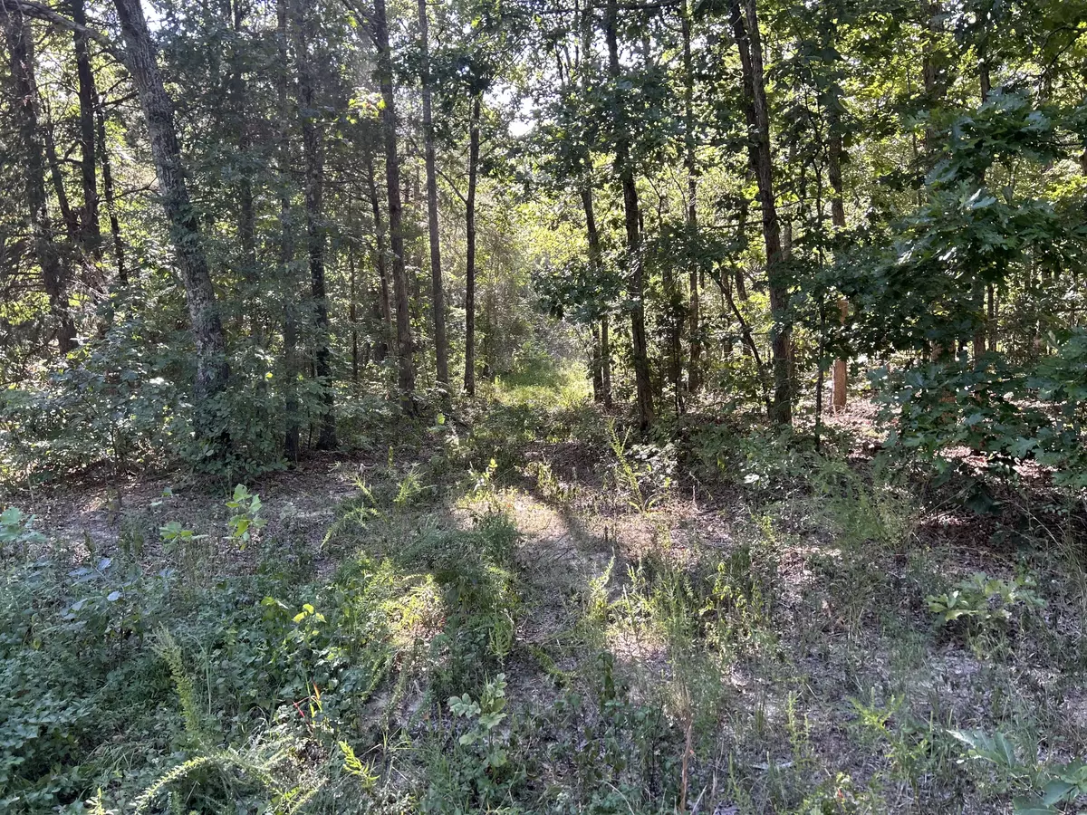 vacant wooded land in ripley county missouri3