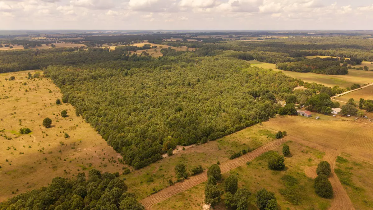 40 acre hunting property000