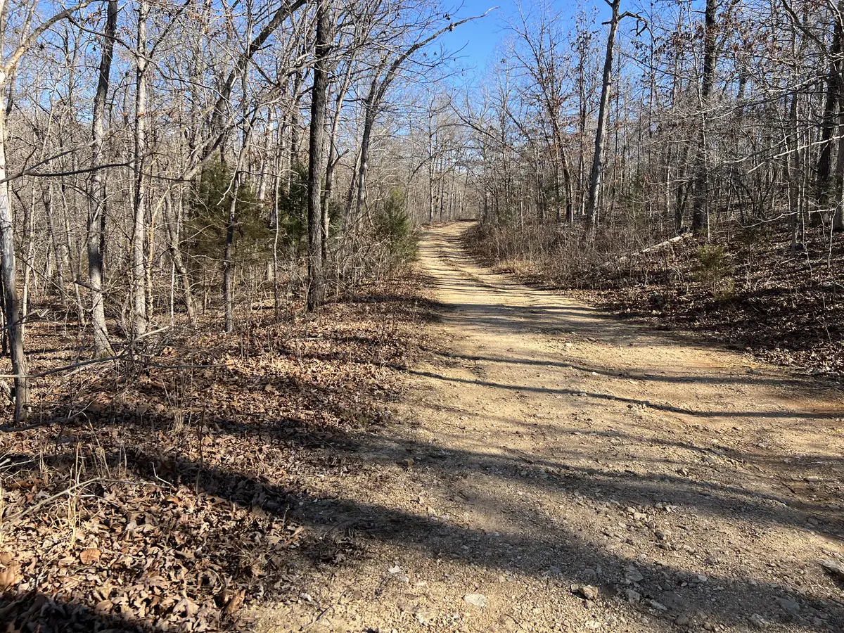 Wooded land in the Ozarks0