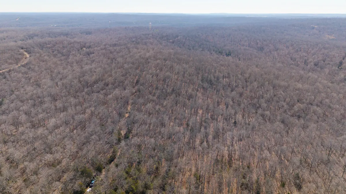 Hunting Land - Wooded Acreage0