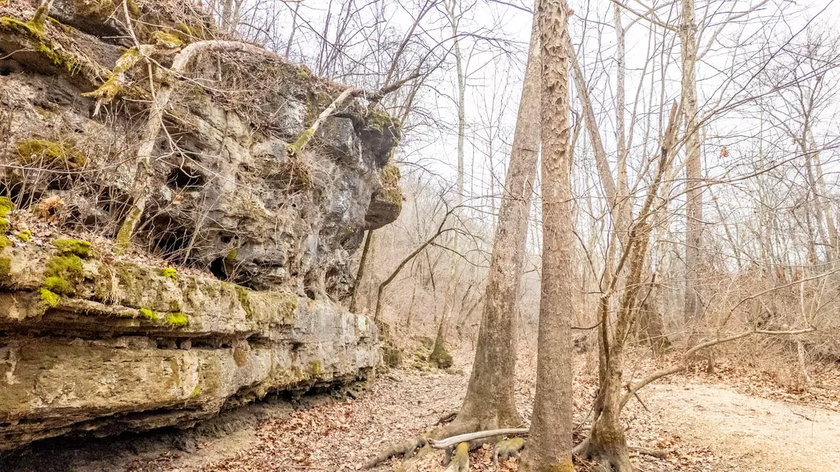 wooded acreage with cave51