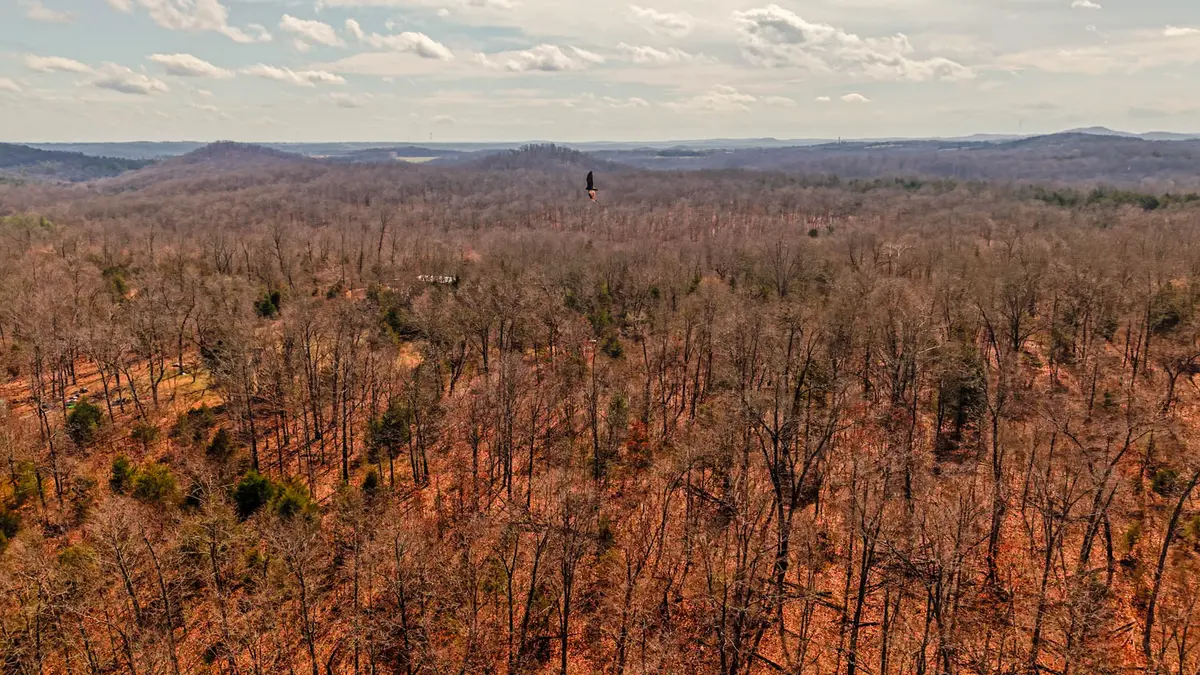 4.63 acres vacant land000