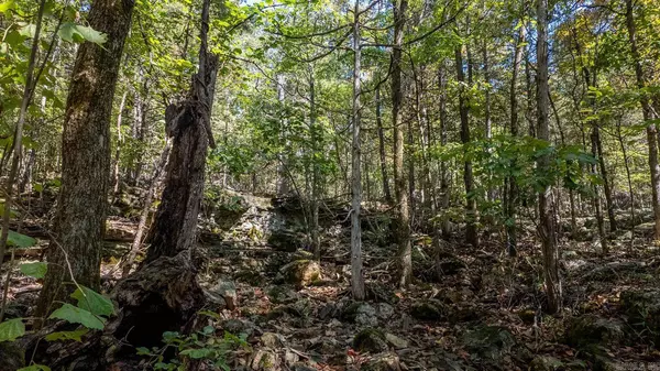 TBD Cougar Drive, Mountain Home, AR 72653