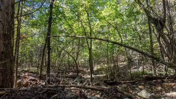 TBD Cougar Drive, Mountain Home, AR 72653