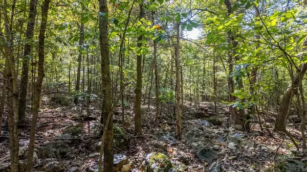 TBD Cougar Drive, Mountain Home, AR 72653