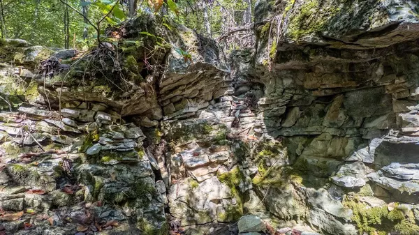 TBD Cougar Drive, Mountain Home, AR 72653