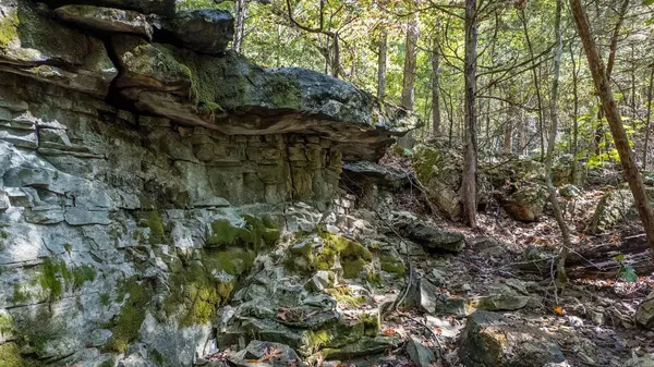 TBD Cougar Drive, Mountain Home, AR 72653