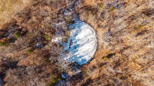 000 N County Road 113, Alton, MO 65606