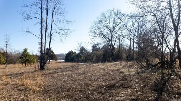 676 County Road 403, Alton, MO 65606