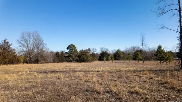 676 County Road 403, Alton, MO 65606