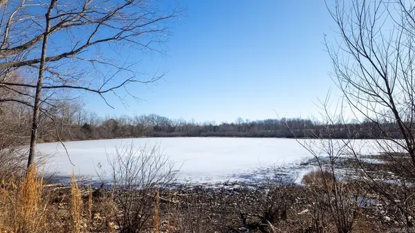 676 County Road 403, Alton, MO 65606