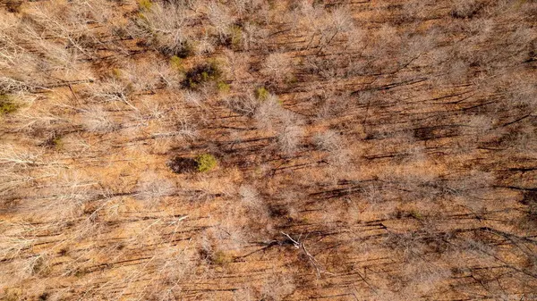 000 W Wirth Road, Mammoth Spring, AR 72554