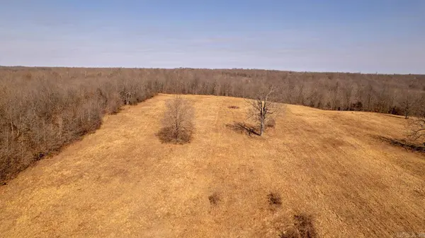 000 W With Road, Mammoth Spring, AR 72554