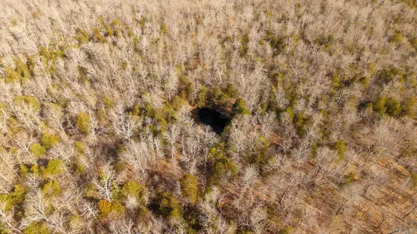 000 Rimstone Lane, Gainesville, MO 65655