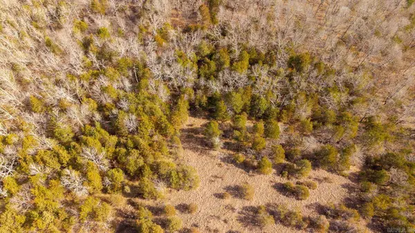 000 Rimstone Lane, Gainesville, MO 65655