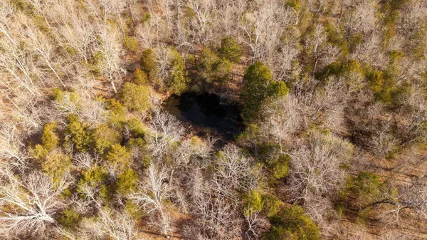 000 Rimstone Lane, Gainesville, MO 65655